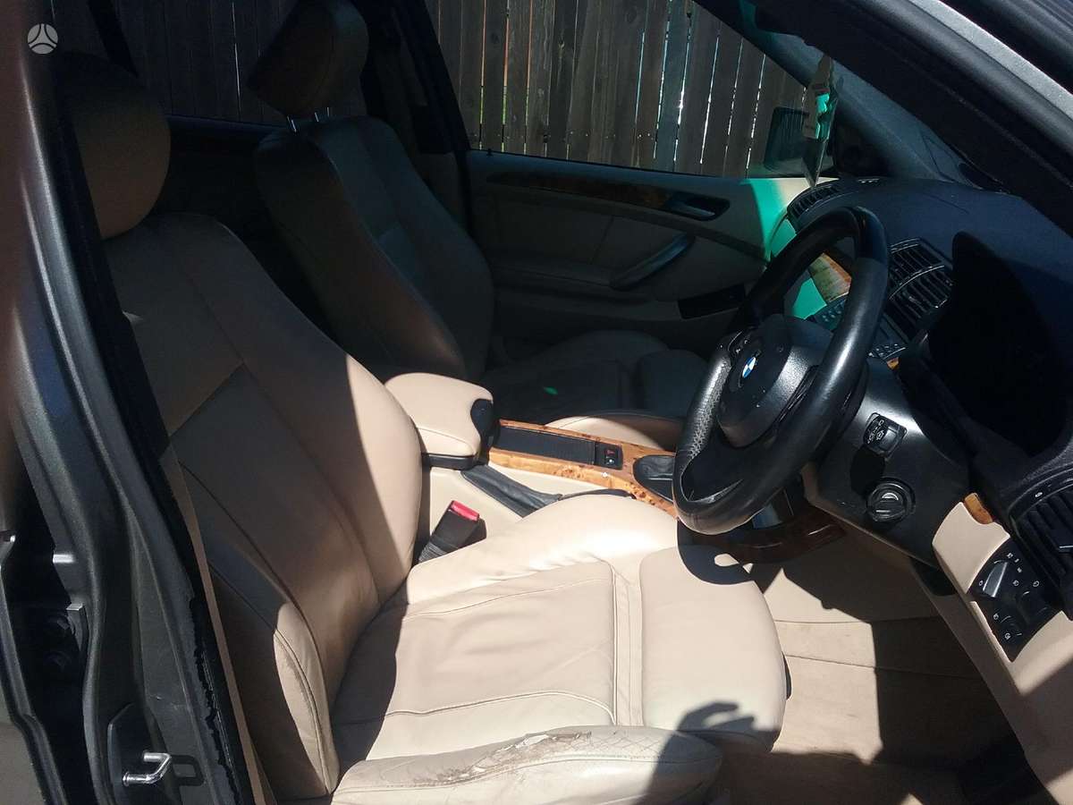 BMW X5 Dalimis