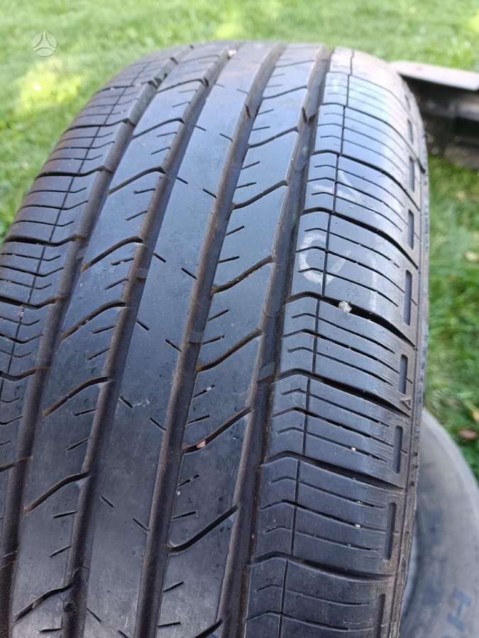 Goodyear INTEGRITY, vasarinės 205/65 R15