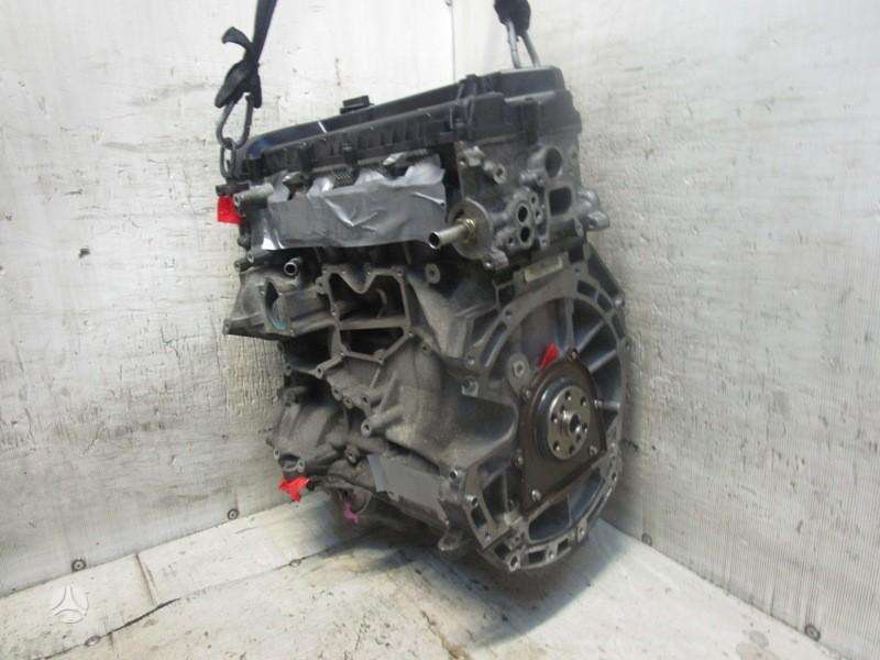 Ford Focus, QQDB, variklis