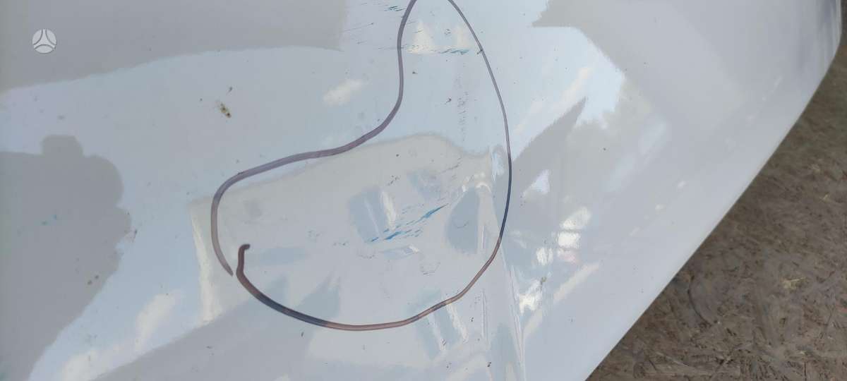 Ford F-MAX, sunkvežimiai
