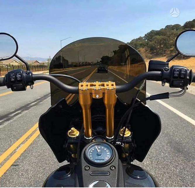 Harley-Davidson -kita-, чопперы / круизеры / custom