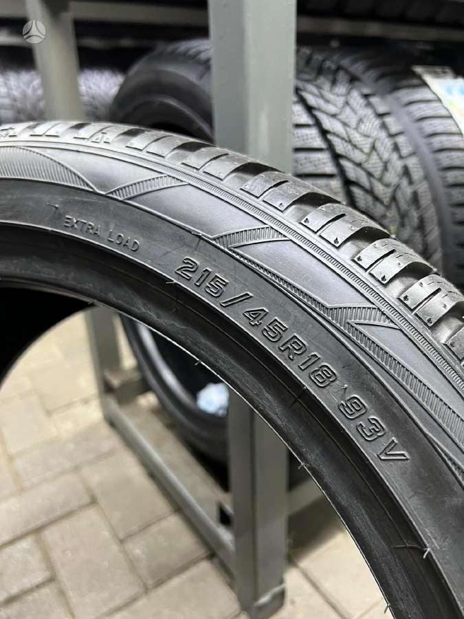 Falken EUROWINTER HS01, зимние 215/45 R18