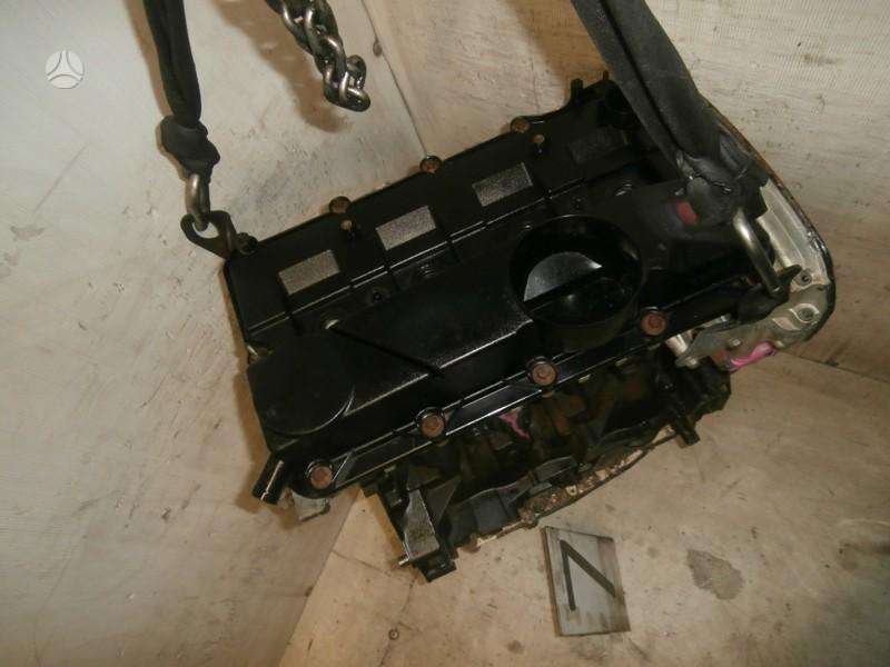 Ford Transit, QWFA, dzinējs
