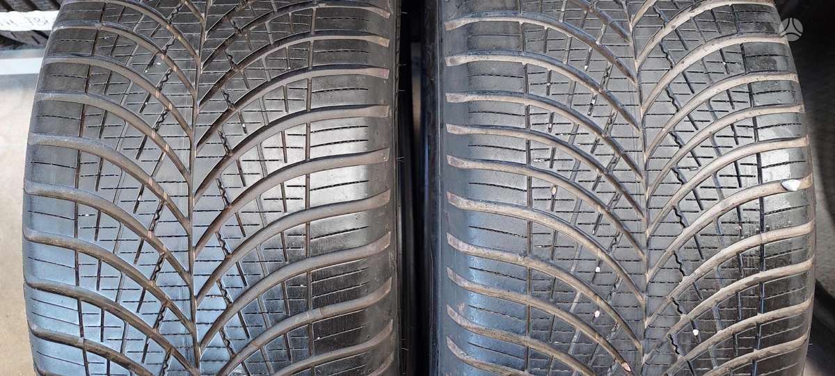 Goodyear, all-season 255/45 R19