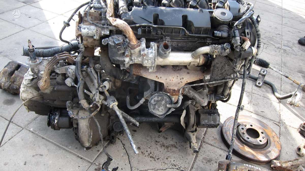 Peugeot Expert Variklio kodas rhk