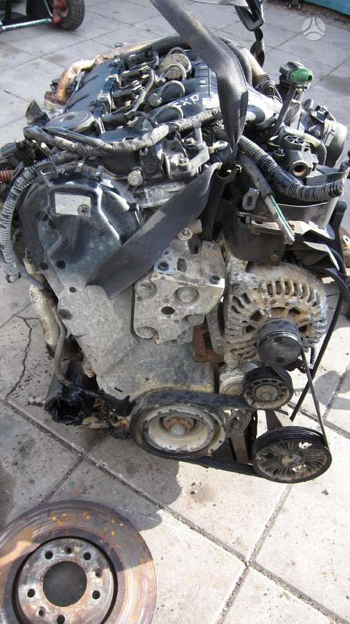 Peugeot Expert Variklio kodas rhk