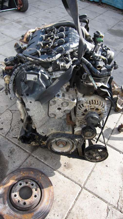 Peugeot Expert Variklio kodas rhk