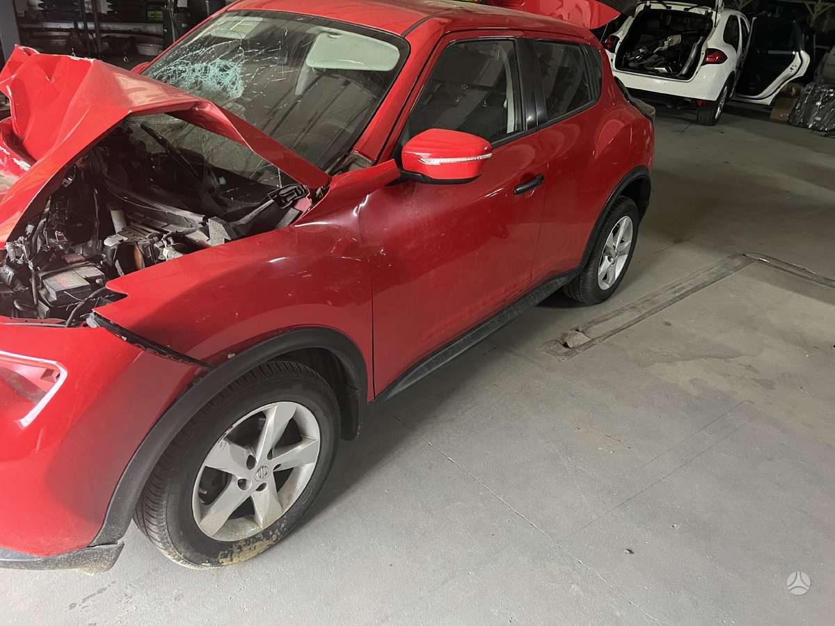 Nissan Juke dalimis. Europinis dalimis