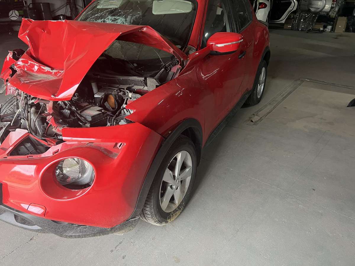 Nissan Juke dalimis. Europinis dalimis