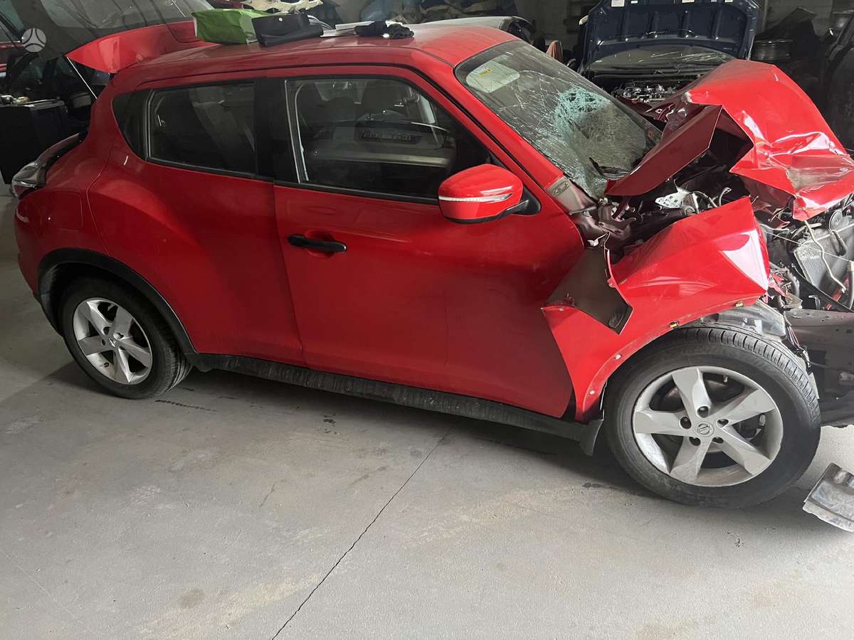 Nissan Juke dalimis. Europinis dalimis