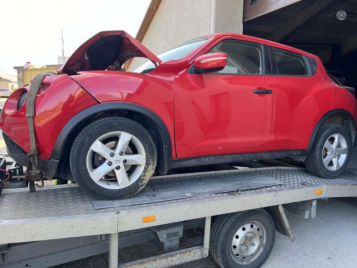Nissan Juke dalimis. Europinis dalimis