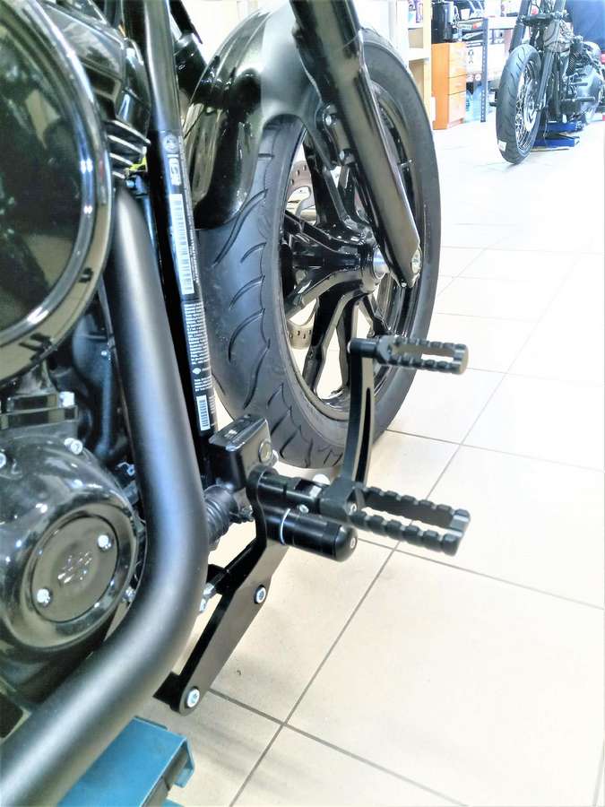 Harley-Davidson Softail, чопперы / круизеры / custom