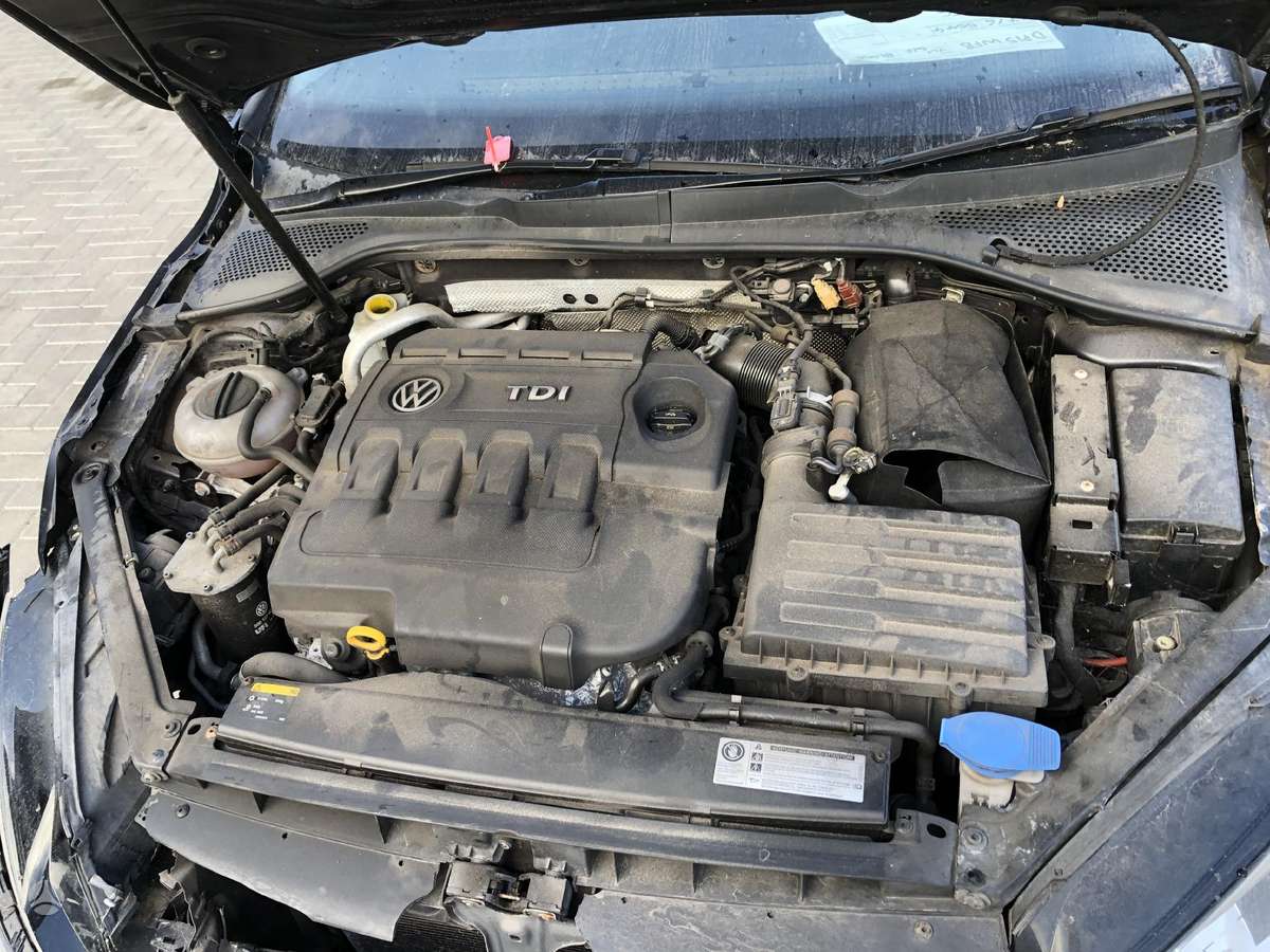 Volkswagen Golf dalimis