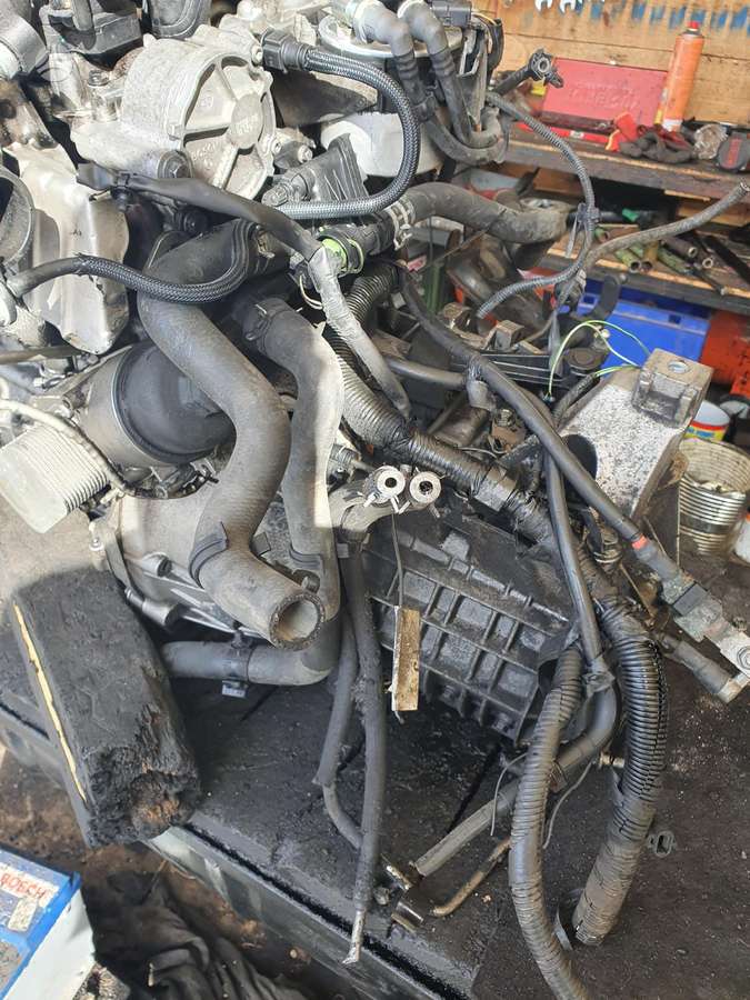 Ford Focus Variklio kodas gpda