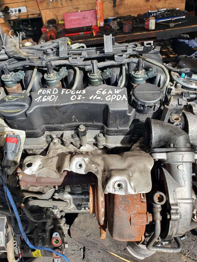 Ford Focus Variklio kodas gpda