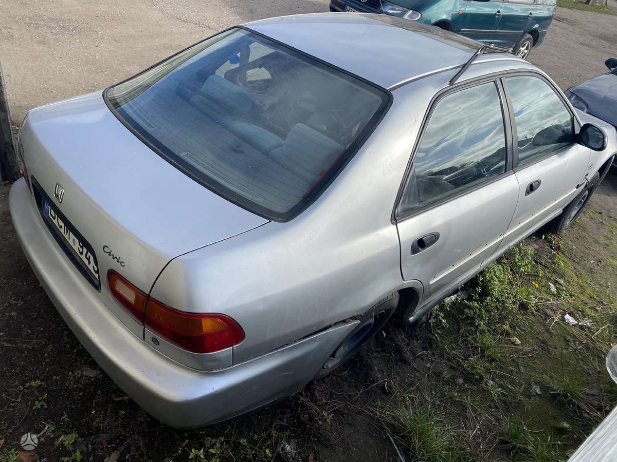 Honda Civic Dalimis