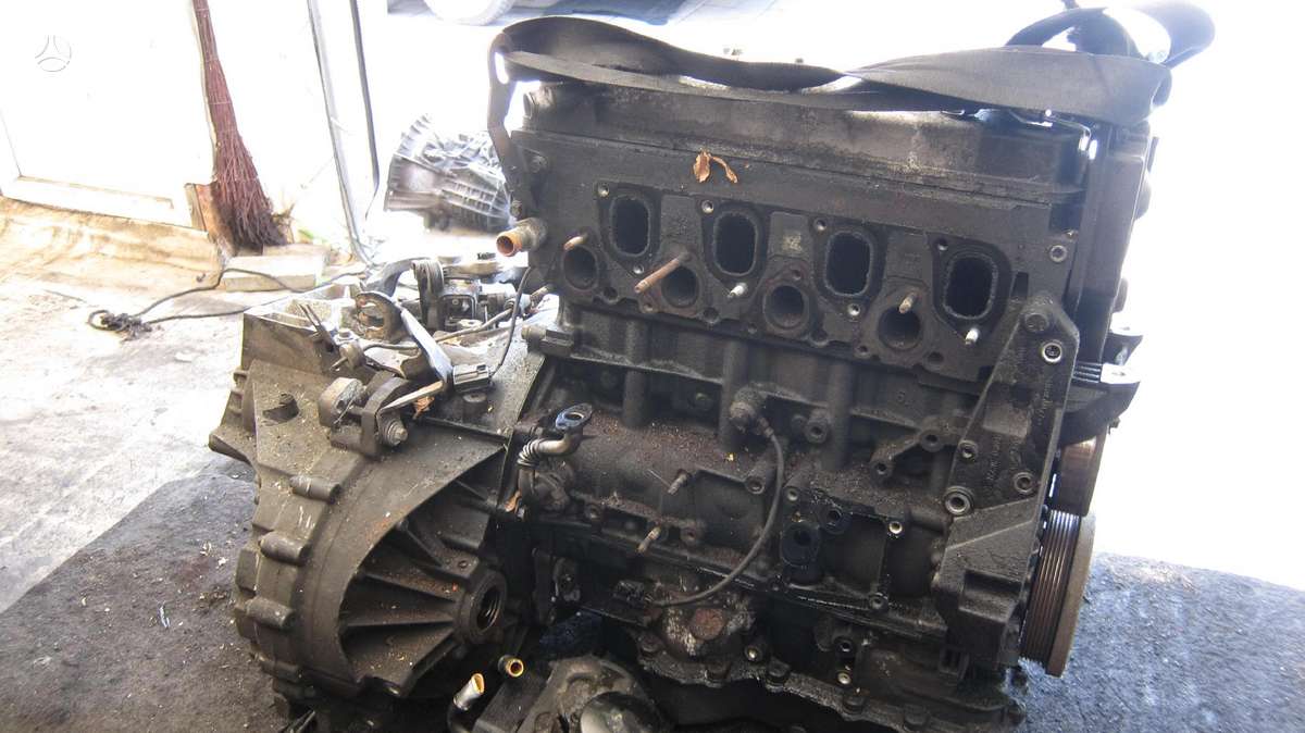 Ford Mondeo Variklio kodas ffba