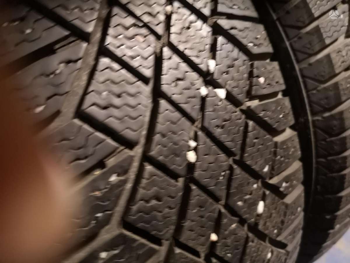 Continental, winter 205/60 R16