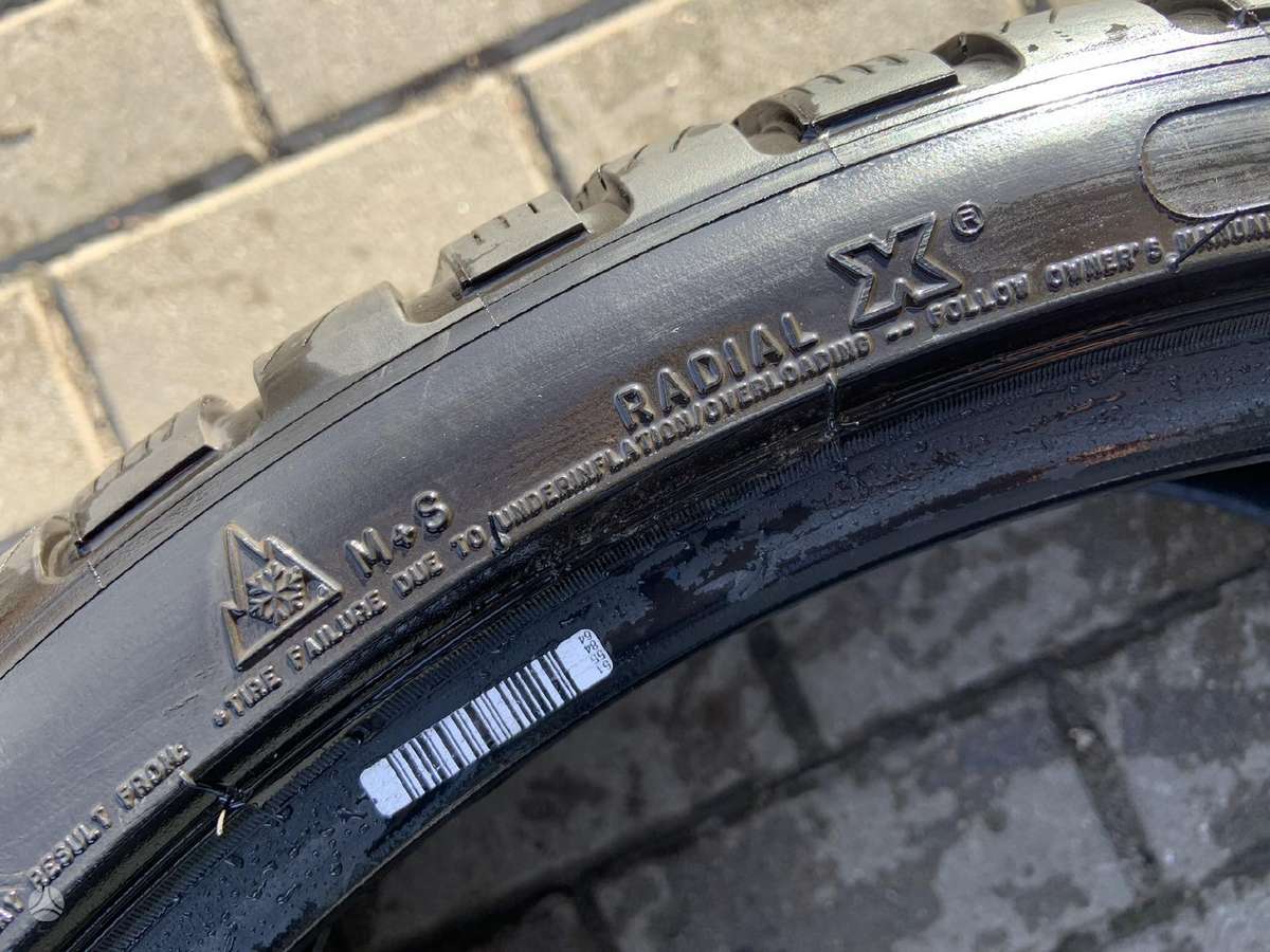 Michelin Pilot Alpin, winter 265/30 R21