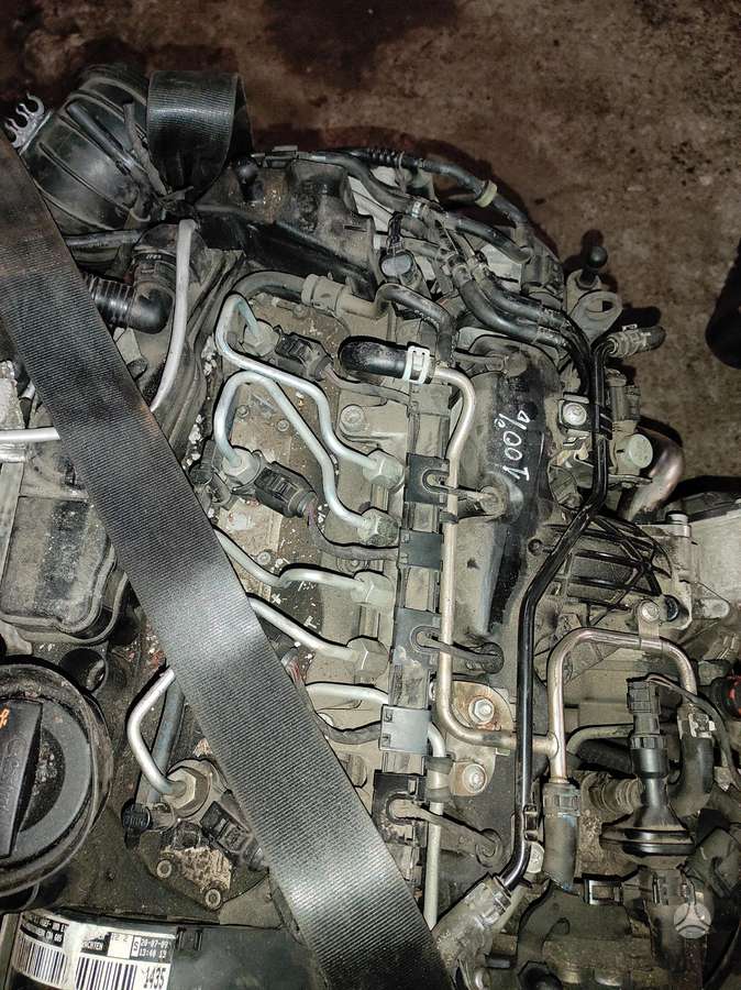 Volkswagen Passat Tik variklis ir dėžė