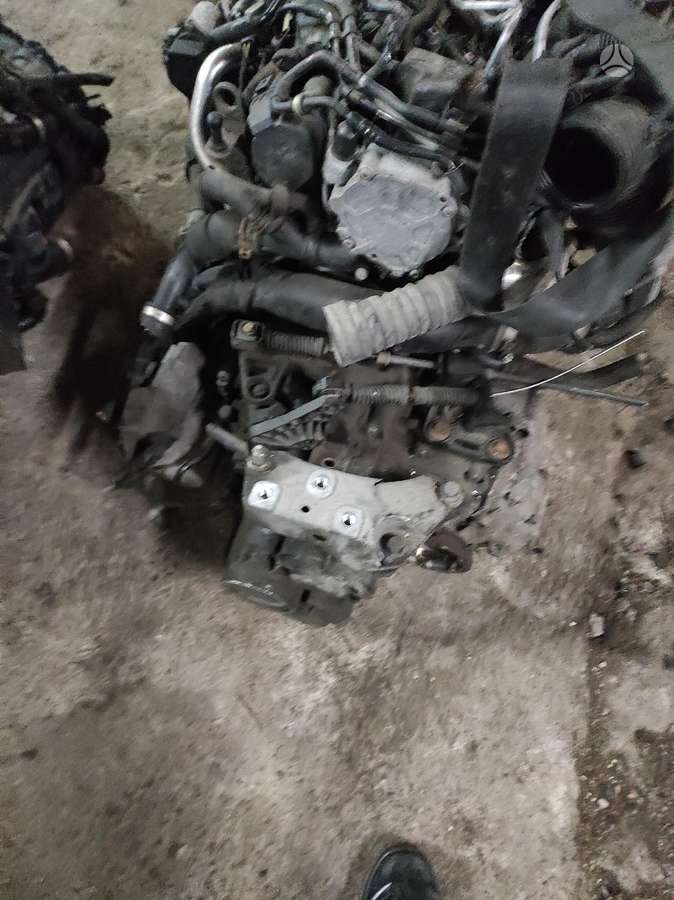 Volkswagen Passat Tik variklis ir dėžė