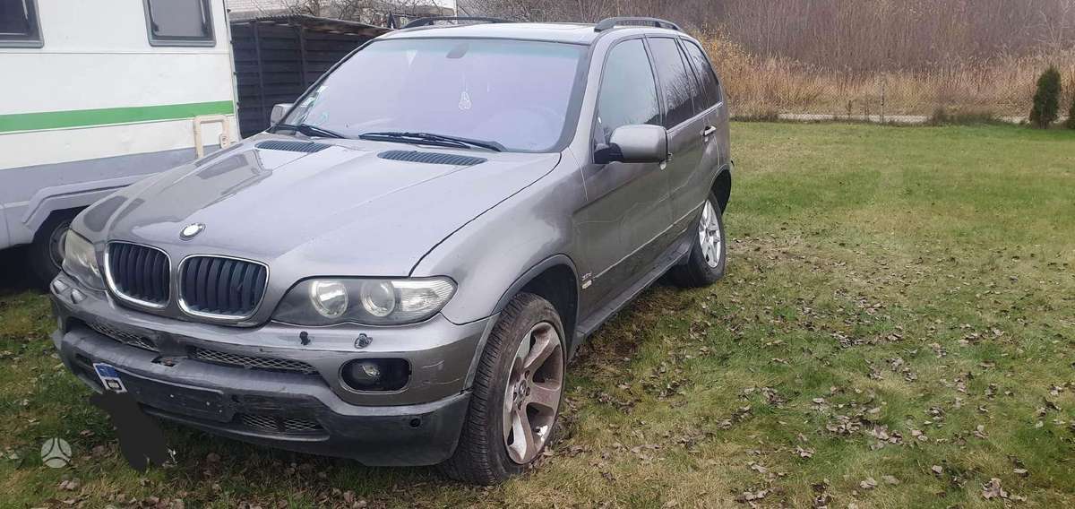 BMW X5 Dalimis