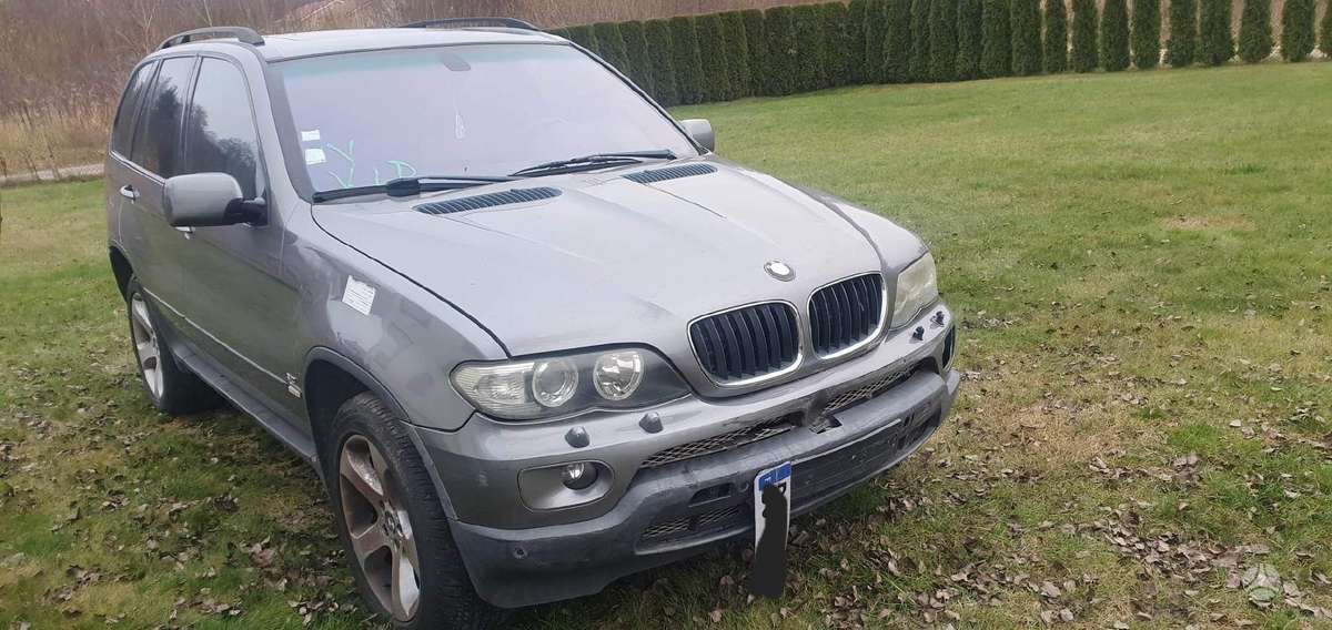 BMW X5 Dalimis