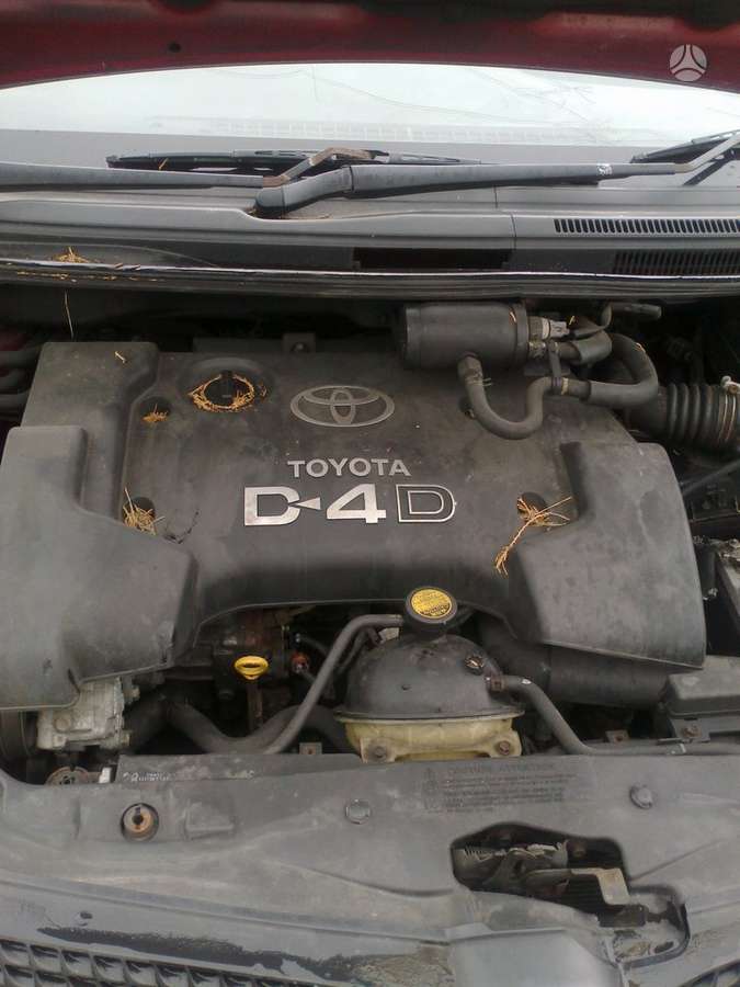 Toyota Corolla Verso