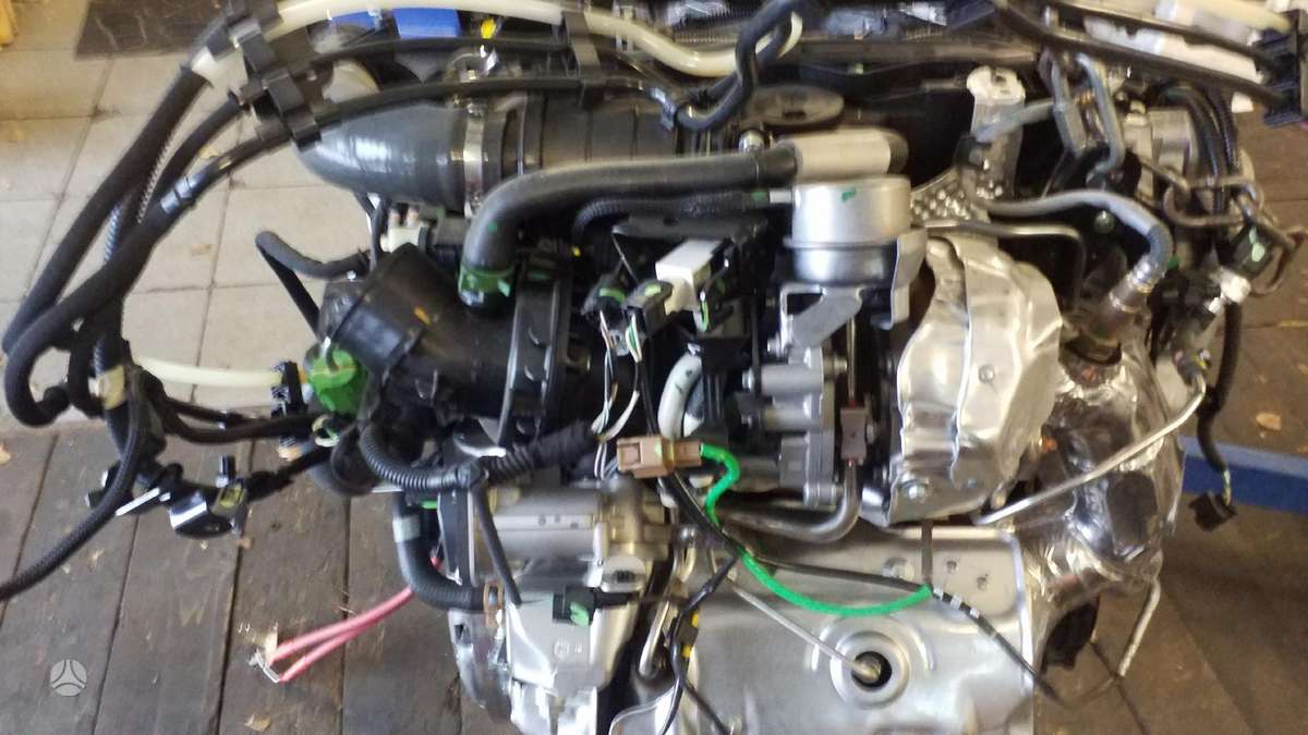 Renault Trafic, R9mh413
