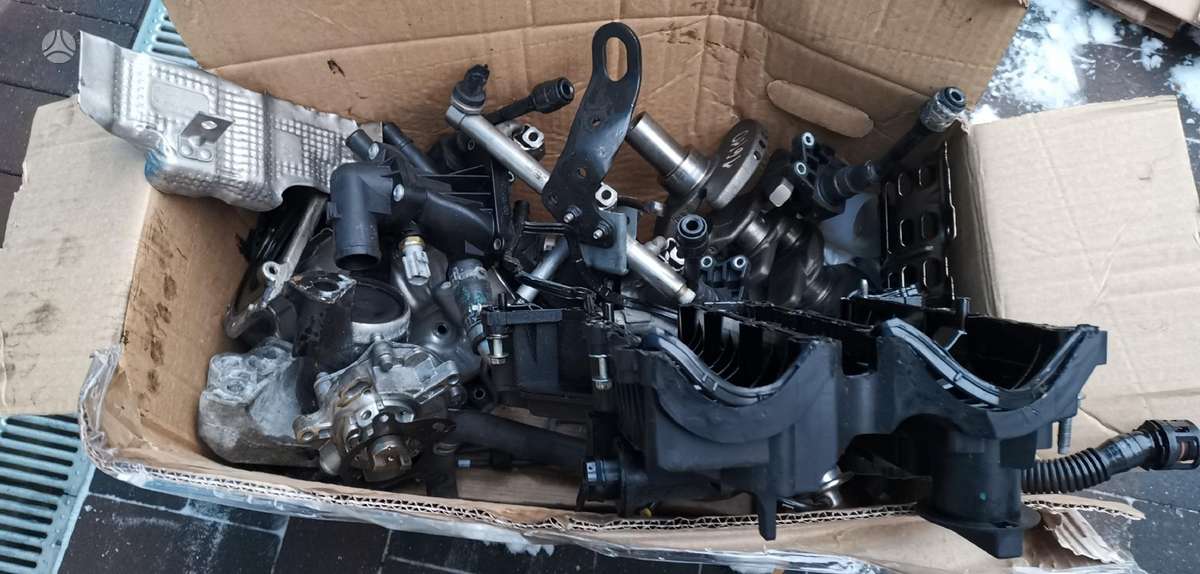 Ford Focus variklio detalės