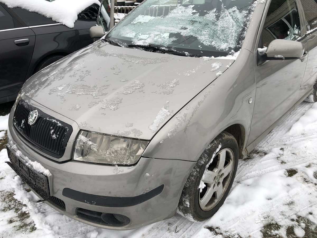 Skoda Fabia dalimis