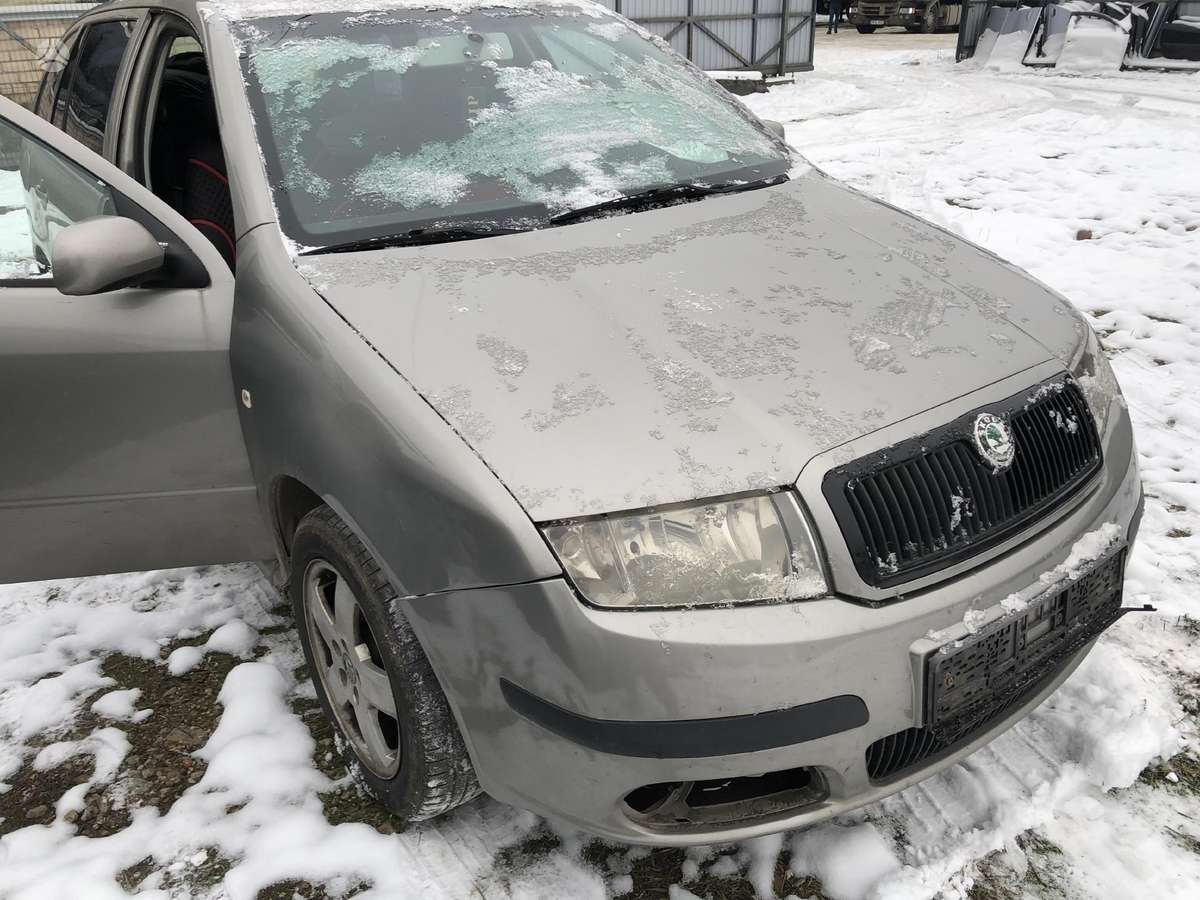 Skoda Fabia dalimis