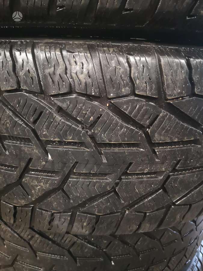 Taurus SUV Winter, winter 275/45 R20