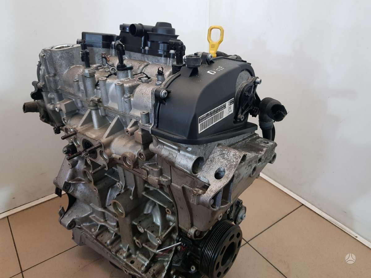 Volkswagen Golf Variklio kodas dhf