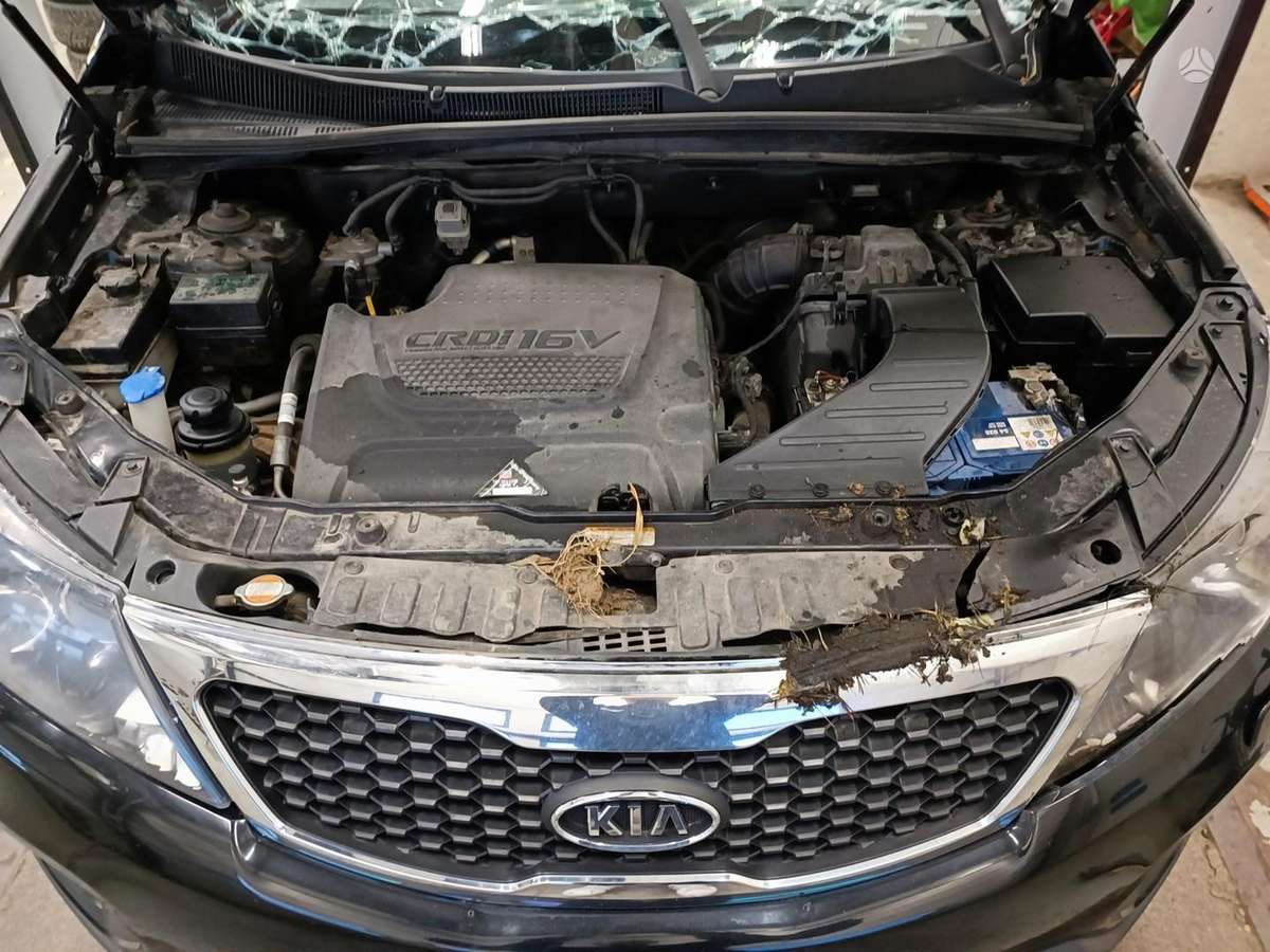 Kia Sorento for parts