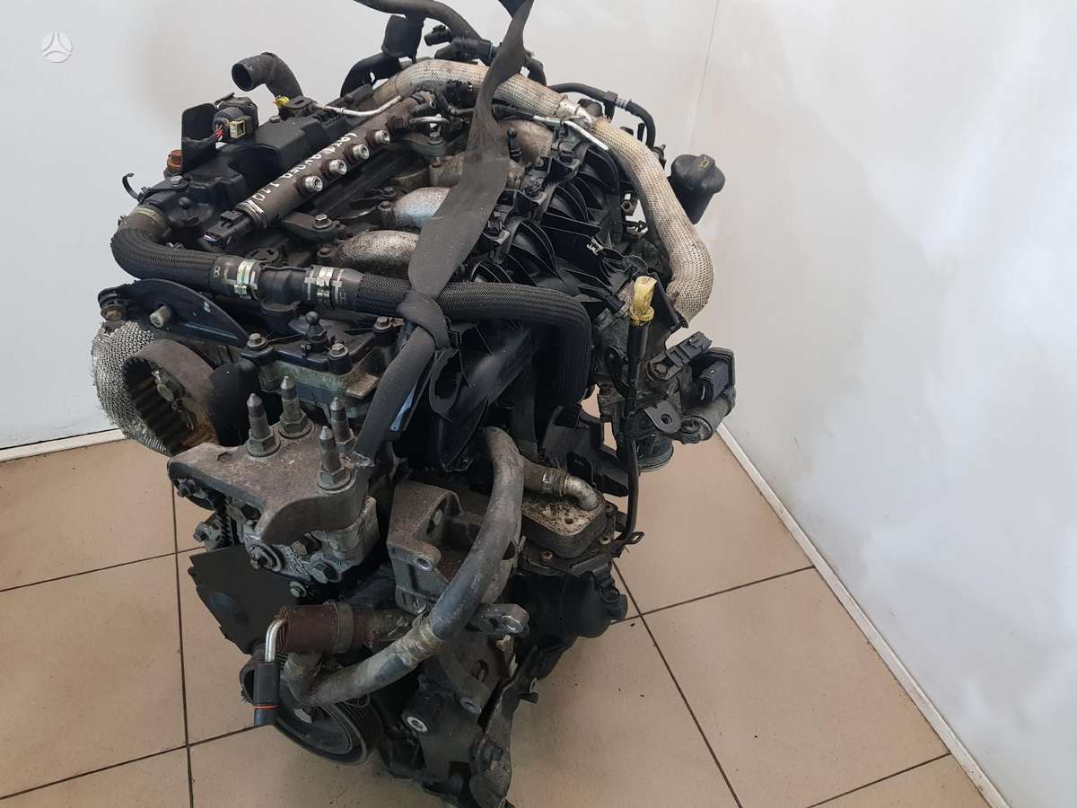 Mitsubishi Outlander Variklio kodas 4hn