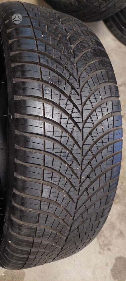 Goodyear, universalios 225/55 R17