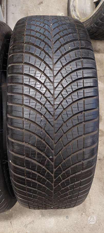Goodyear, universalios 225/55 R17