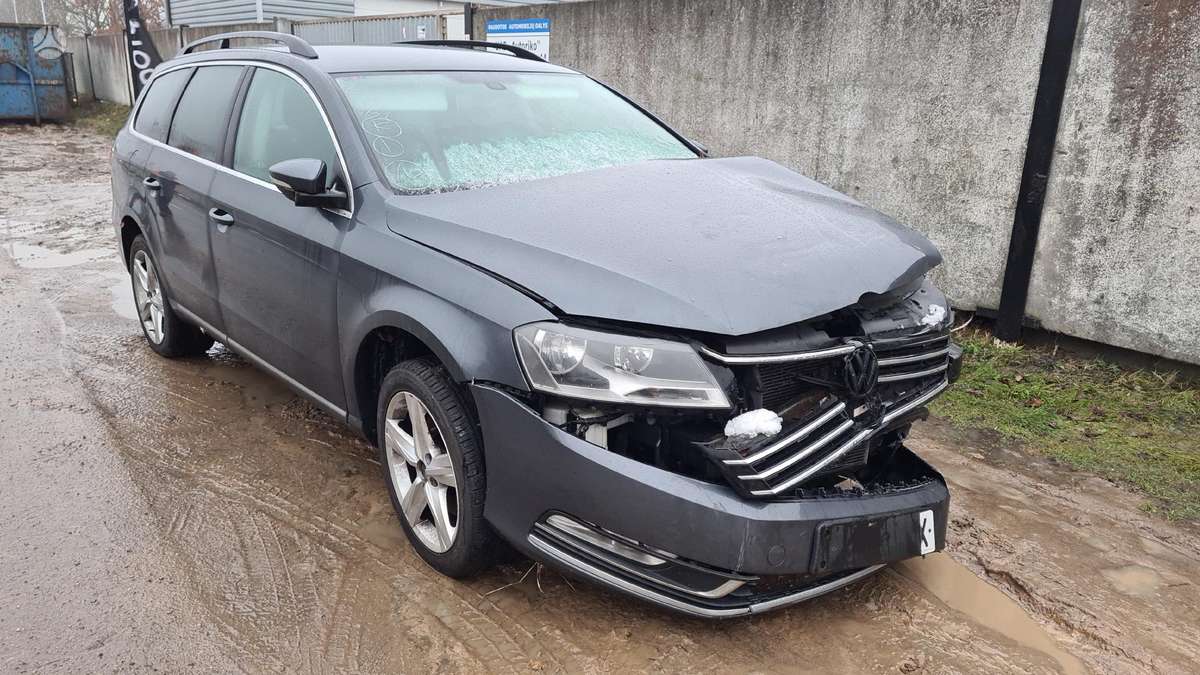Volkswagen Passat dalimis