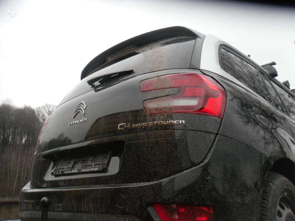 Citroen Synergie dalimis