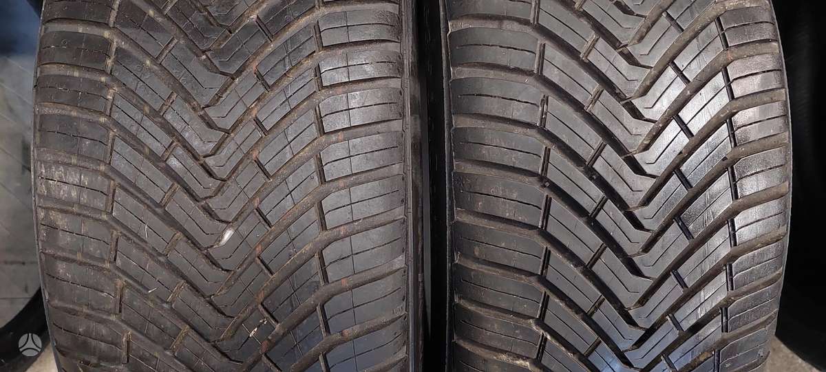Continental, universalios 225/45 R19