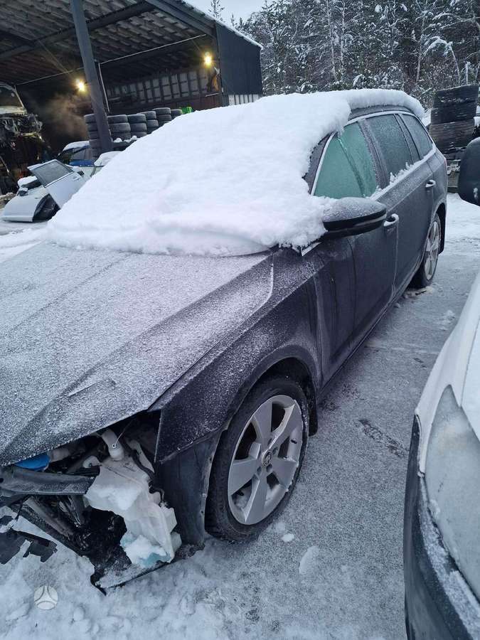 Skoda Octavia dalimis. Europa