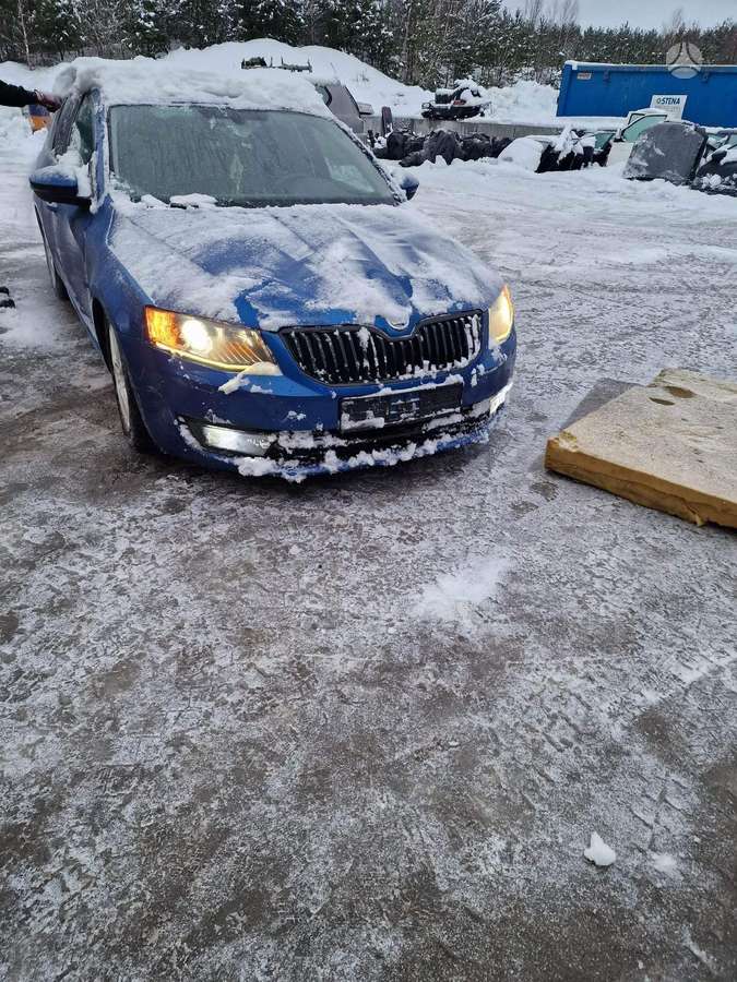 Skoda Octavia dalimis. Europa