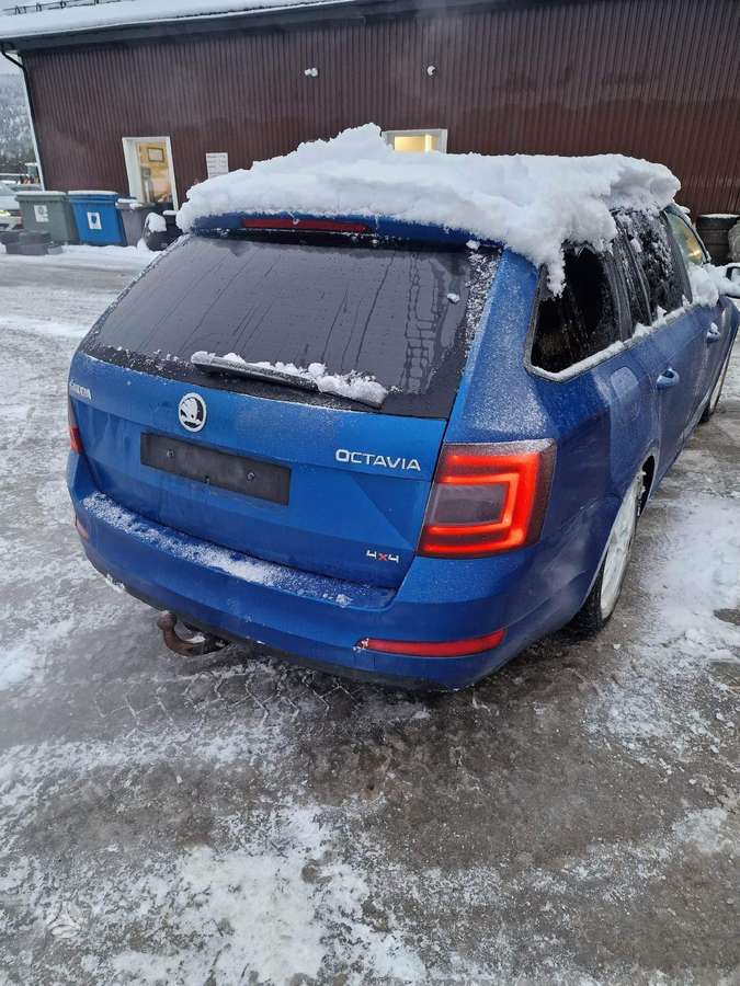 Skoda Octavia dalimis. Europa