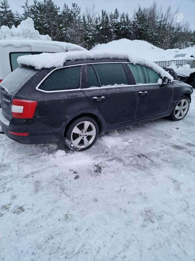 Skoda Octavia dalimis. Europa