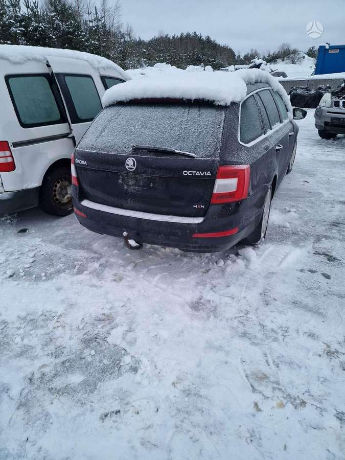 Skoda Octavia dalimis. Europa