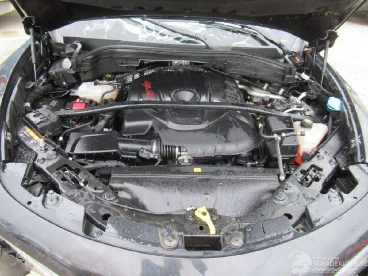 Alfa Romeo Stelvio dalimis