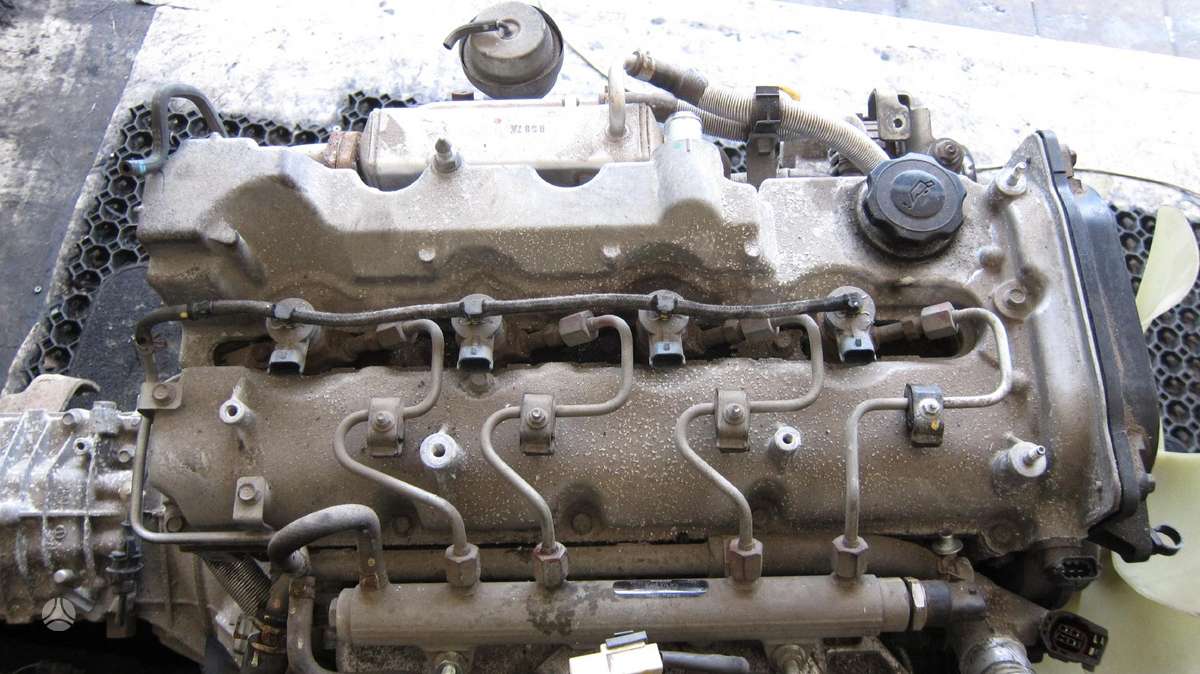 Ford Ranger Variklio kodas wl c