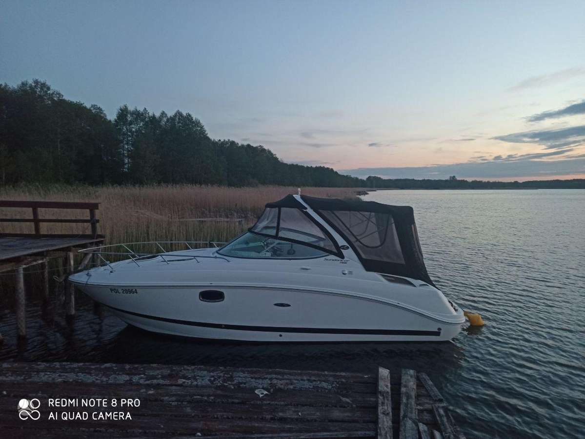 SeaRay 265 Sundancer, яхты / катера