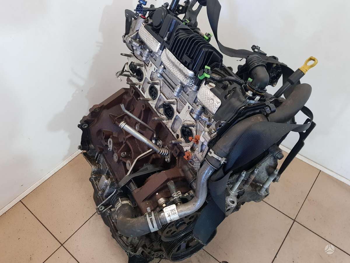 Ford Transit Custom Variklio kodas bkfb
